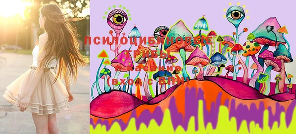 марки lsd Аркадак